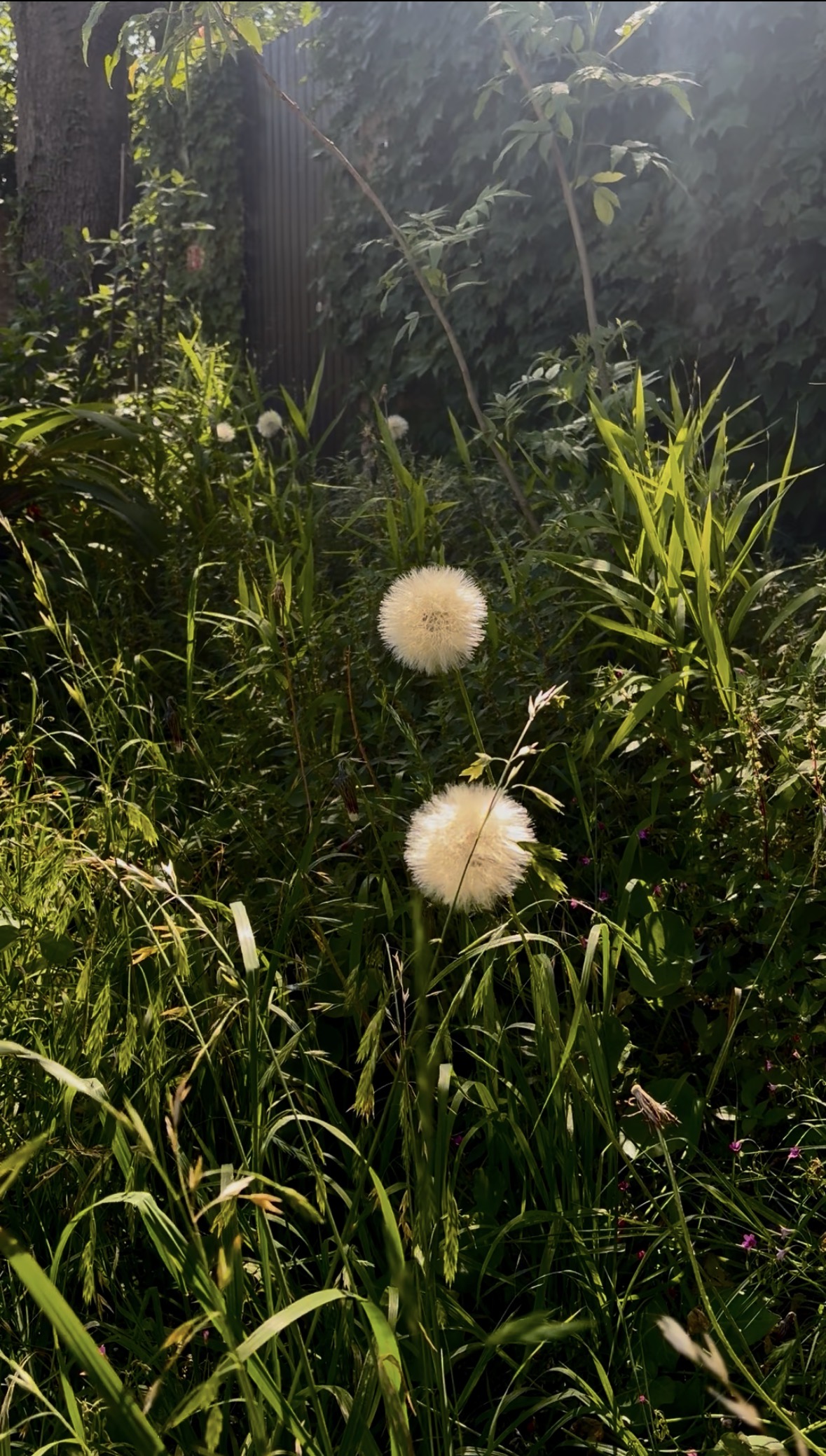 Piezas de gres artesanales sobre mesa de luz natural
